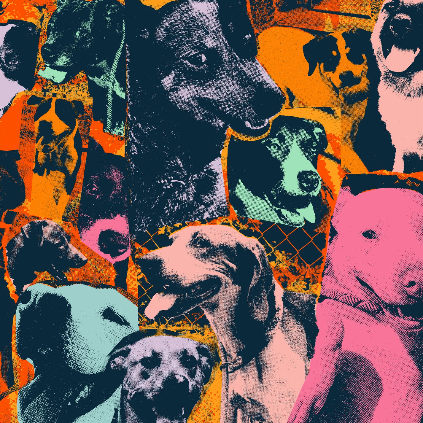 IODINE RECORDS "The Dogs Of Hope" LP