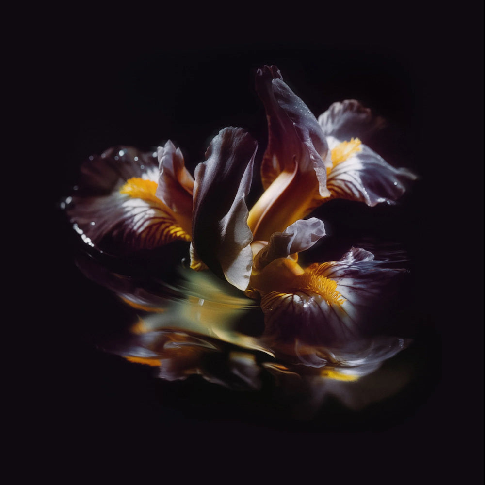 RAEIN "Forme Sommerse" LP
