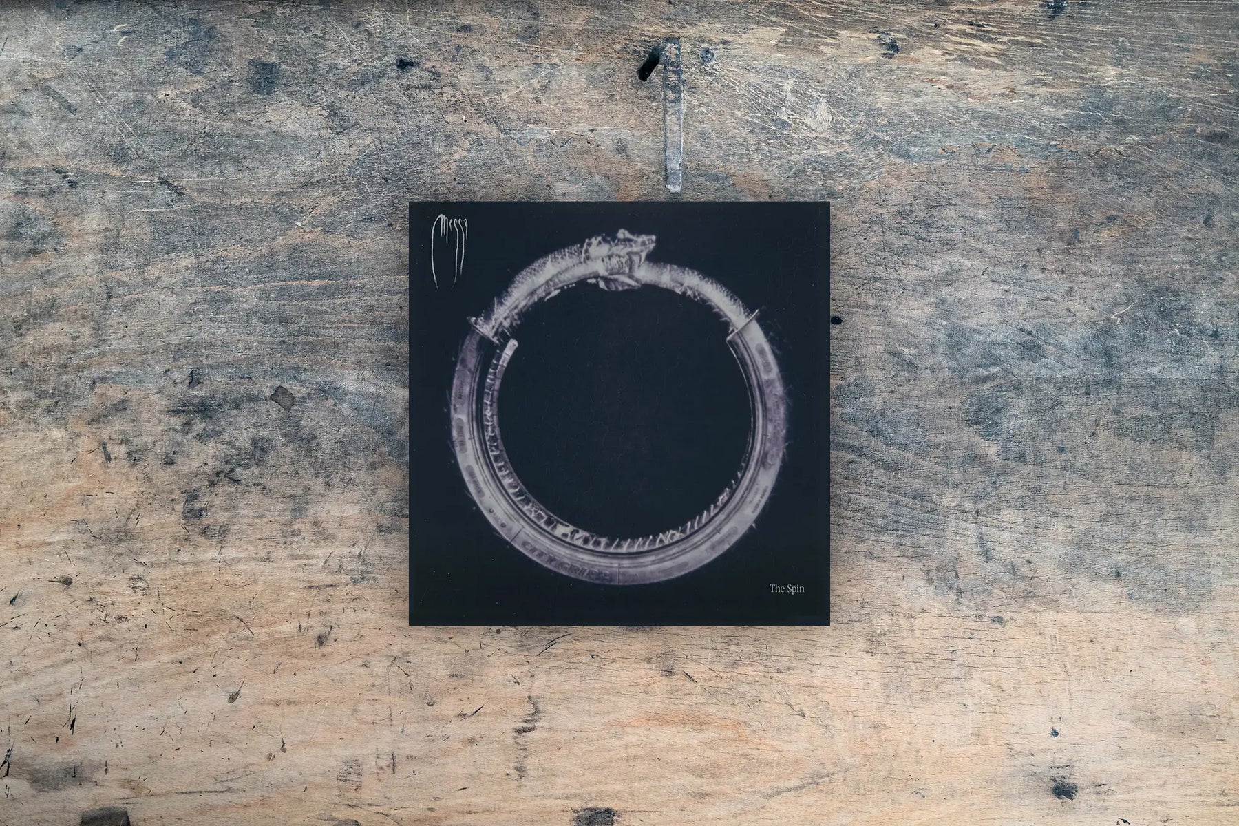 Staff Picks November 2025