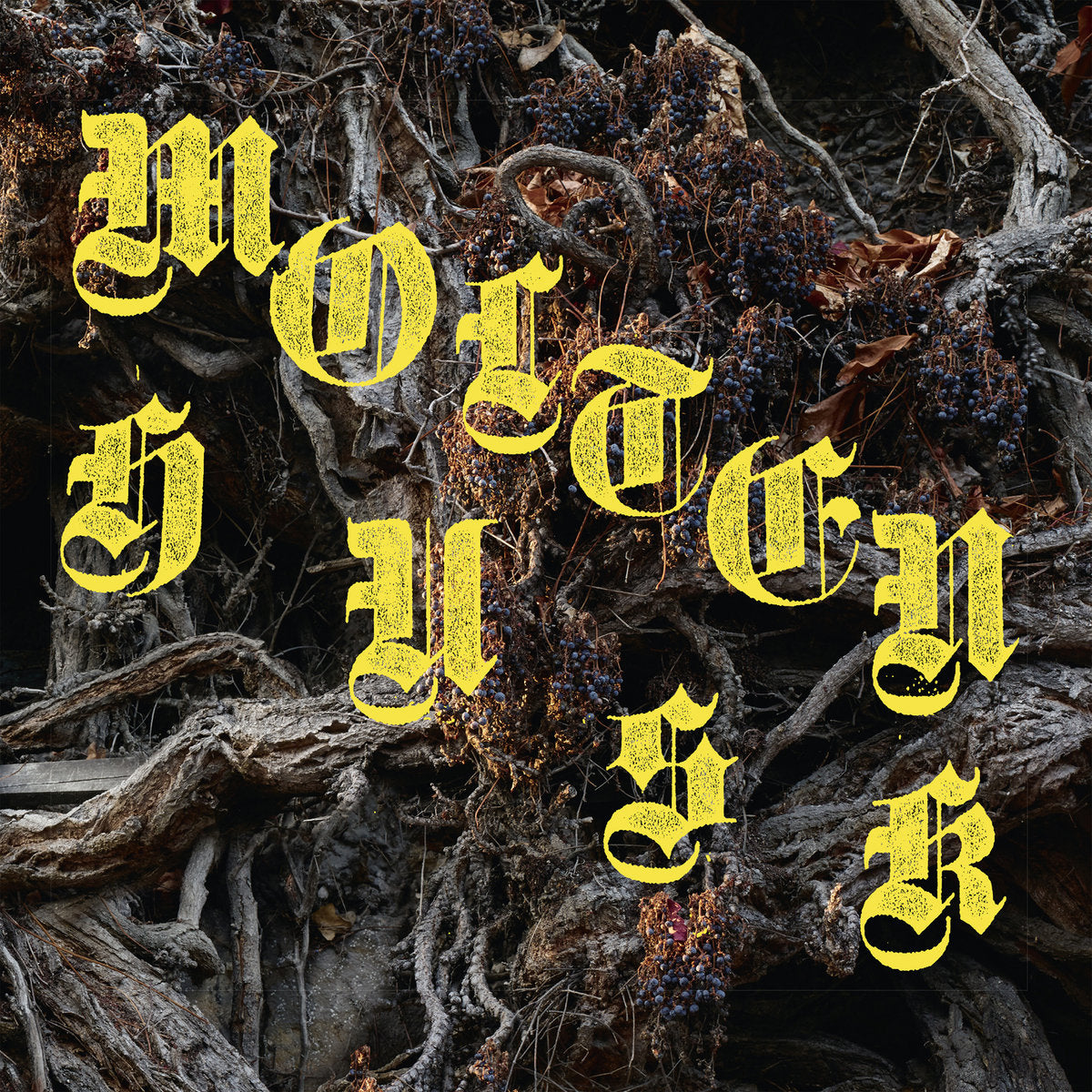 ABEST &quot;Molten Husk&quot; LP
