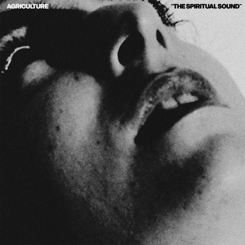 AGRICULTURE &quot;The Spiritual Sound&quot; LP