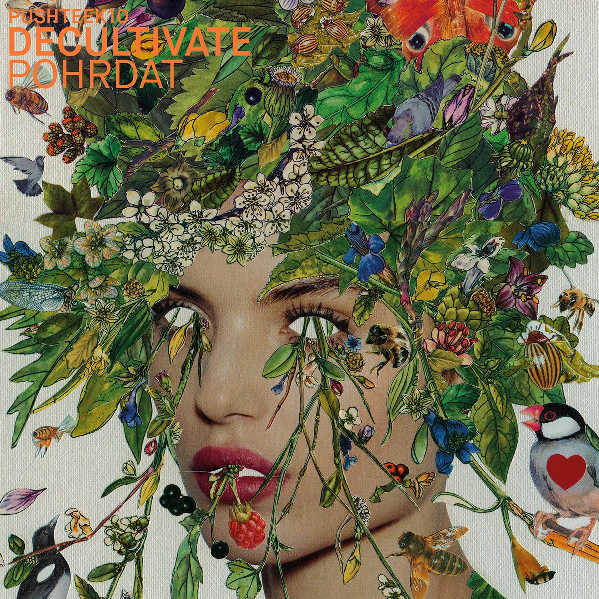 DECULTIVATE &quot;Pohrdat&quot; LP