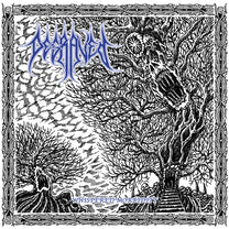 DEGRAVED &quot;Whispered Morbidity&quot; 12&quot;
