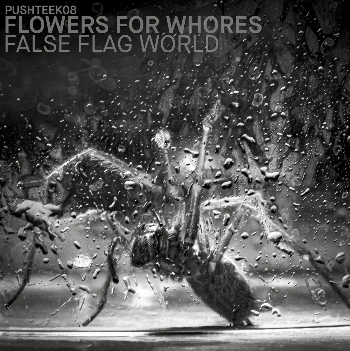 FLOWERS FOR WHORES &quot;False Flag World&quot; Tape