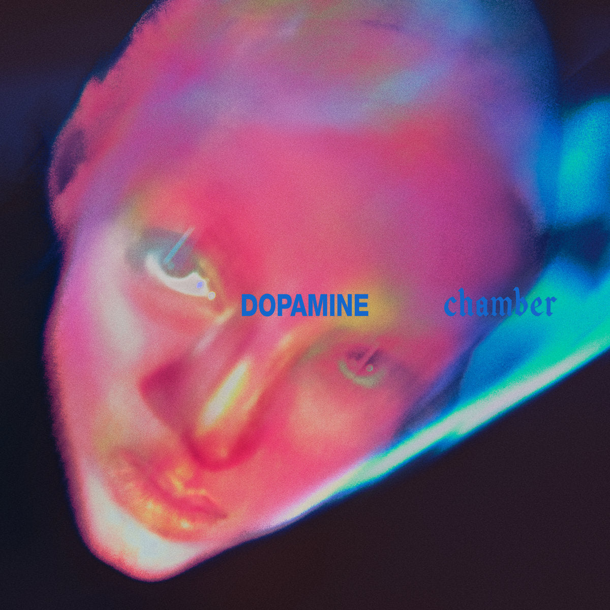 FONTAINES D.C. "Dopamine Chaser" LP