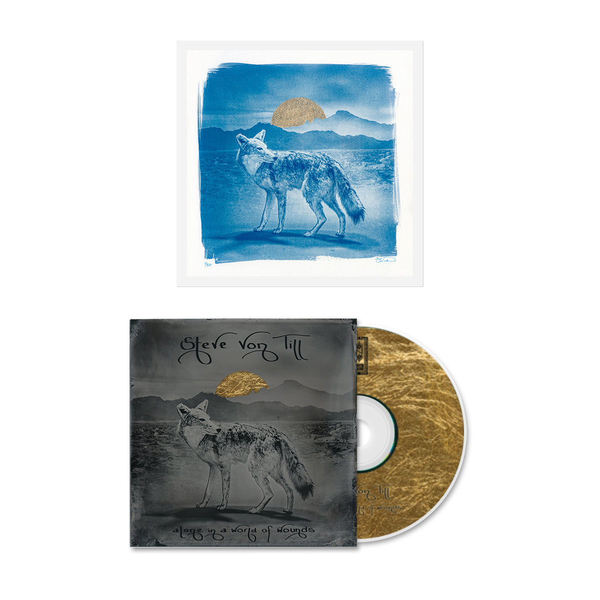STEVE VON TILL &quot;Alone In A World Of Wounds&quot; CD + Cyanotype Print Bundle