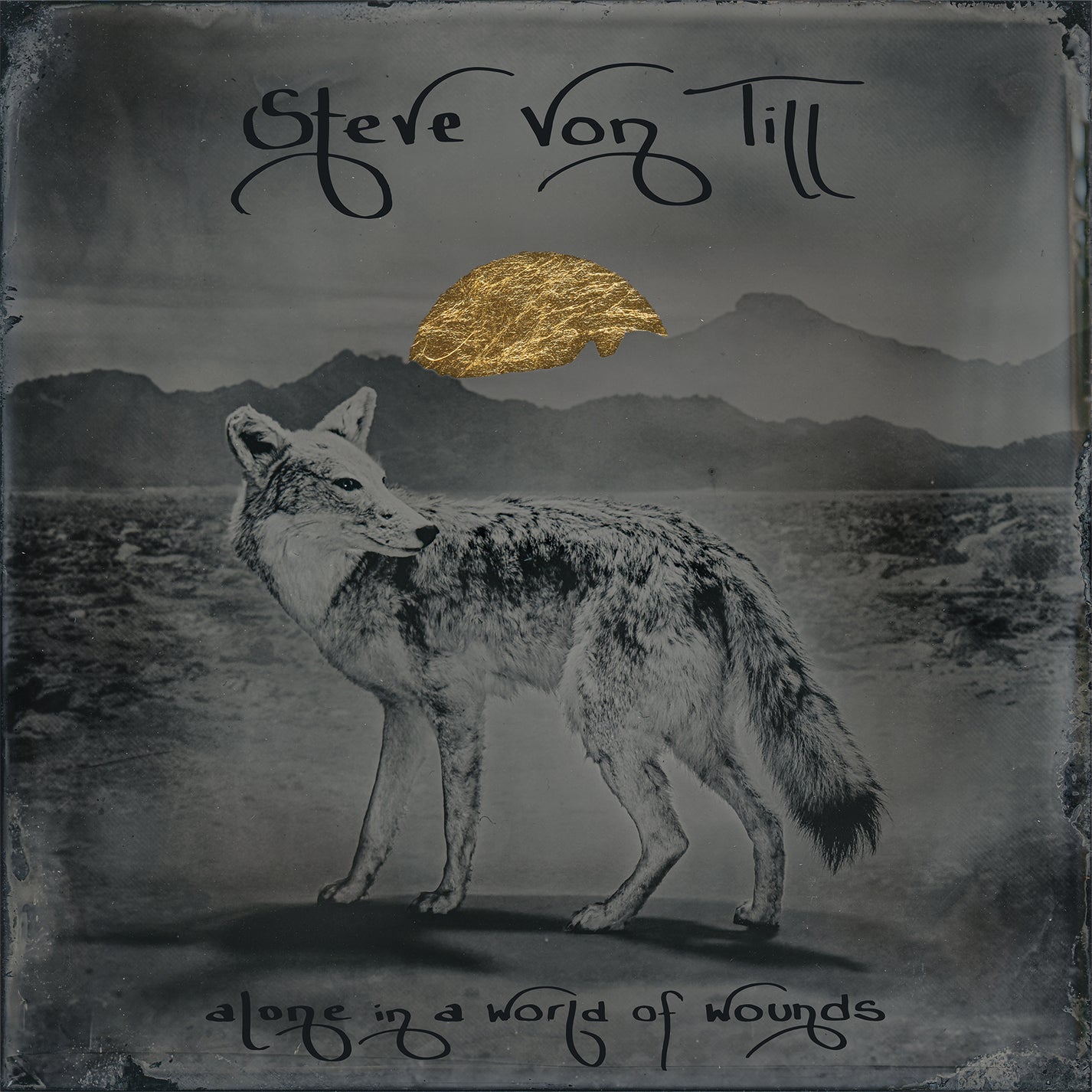 STEVE VON TILL &quot;Alone In A World Of Wounds&quot; LP
