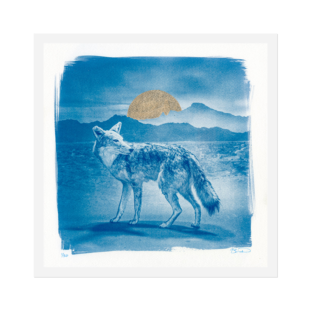 STEVE VON TILL &quot;Alone In A World Of Wounds&quot; LP + Cyanotype Print Bundle