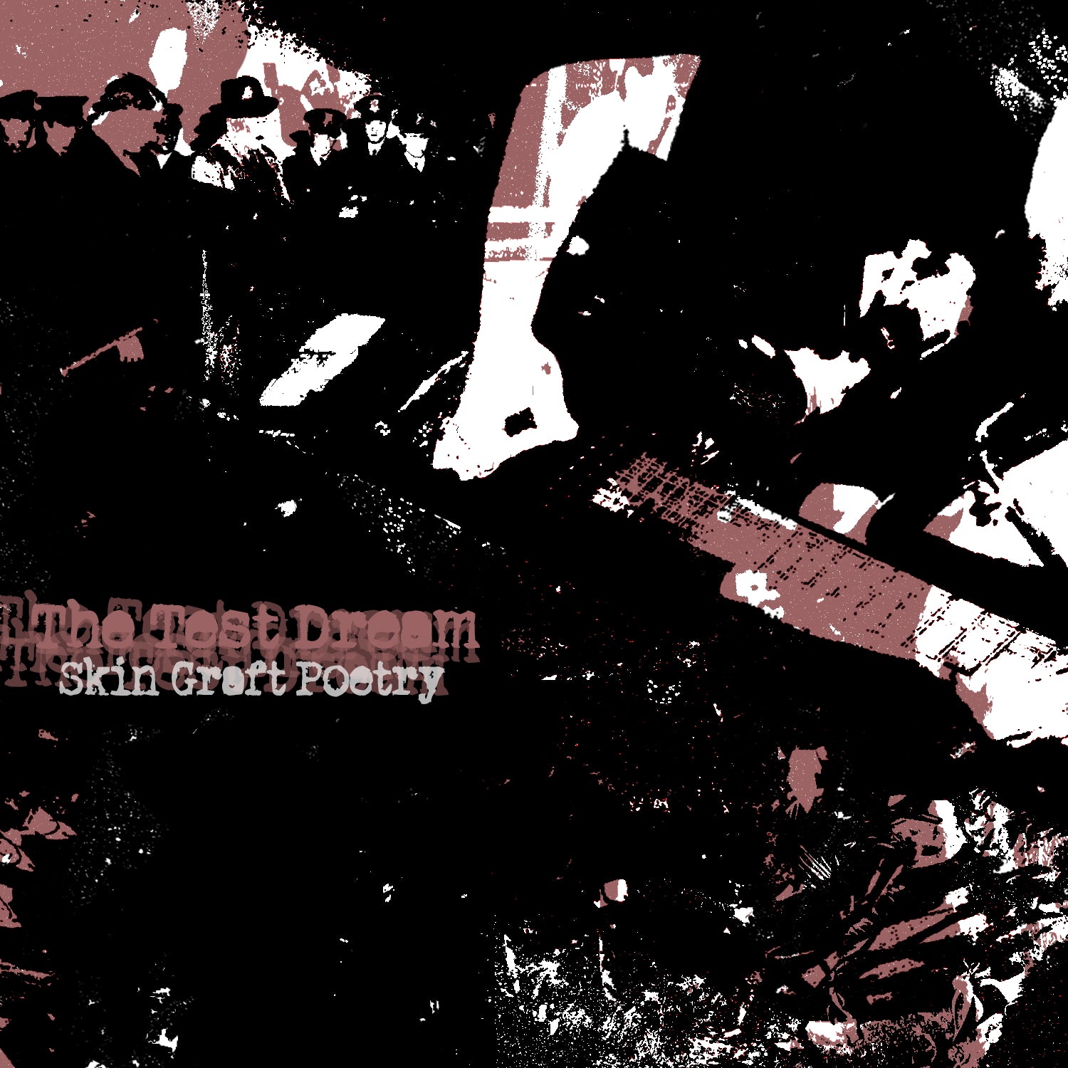 THE TEST DREAM "Skin Graft Poetry" CD