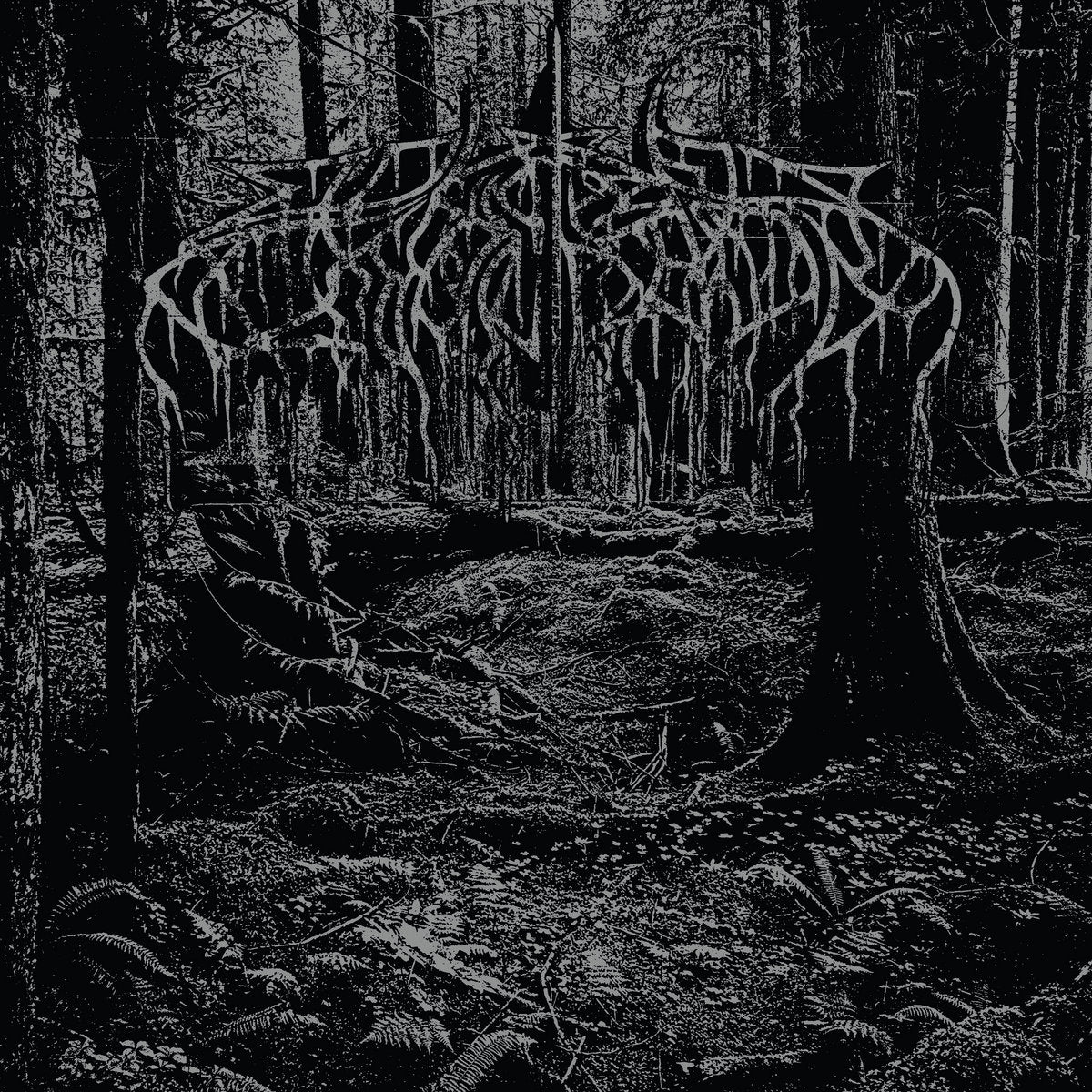 WOLVES IN THE THRONE ROOM &quot;Demo 2005&quot; LP