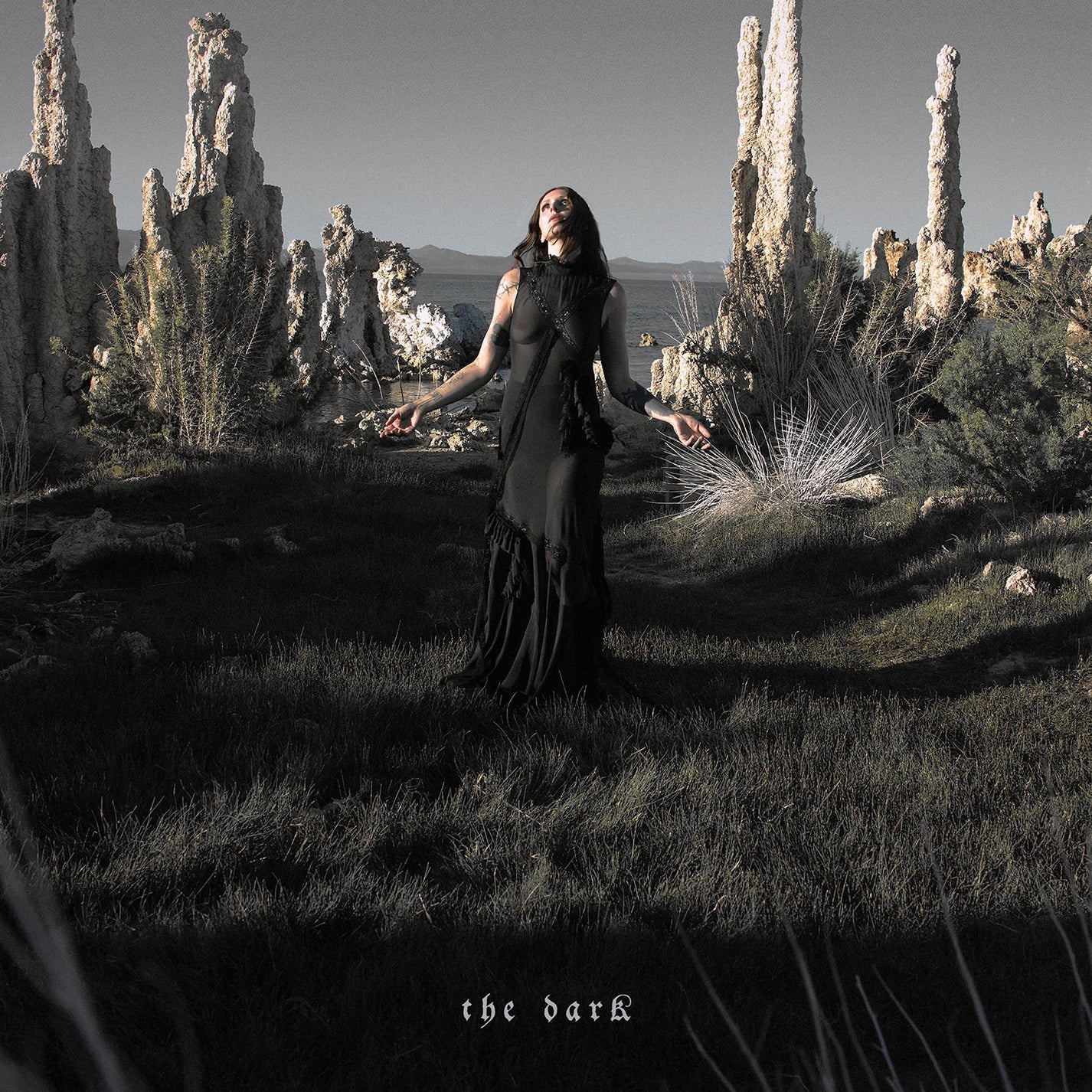 CHELSEA WOLFE "The Dark" LP - Evil Greed