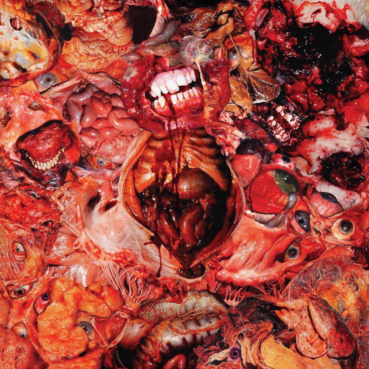 FESTERDECAY "From Demo To Rot" LP - Evil Greed