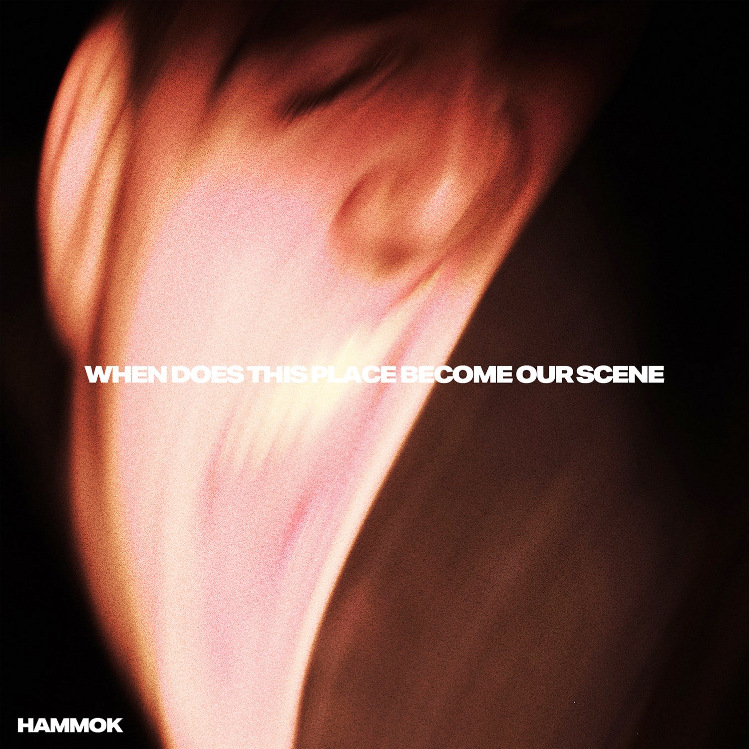 HAMMOK "When Does This Place Become Our Scene" LP