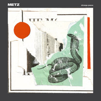 METZ "Strange Peace" Tape - Evil Greed
