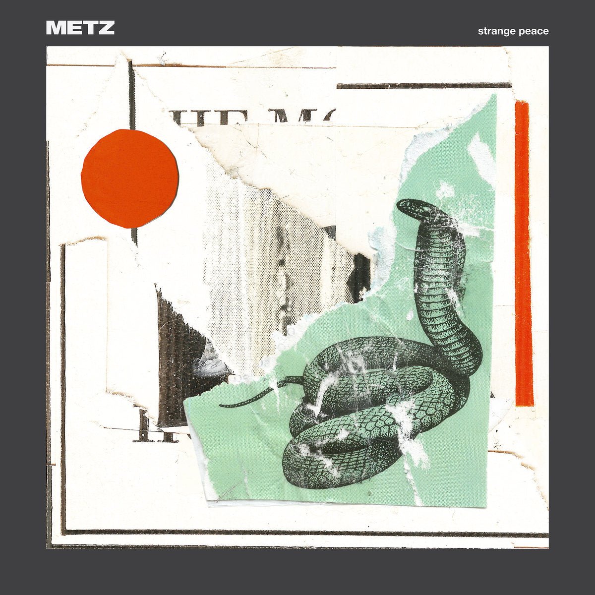 METZ "Strange Peace" Tape - Evil Greed