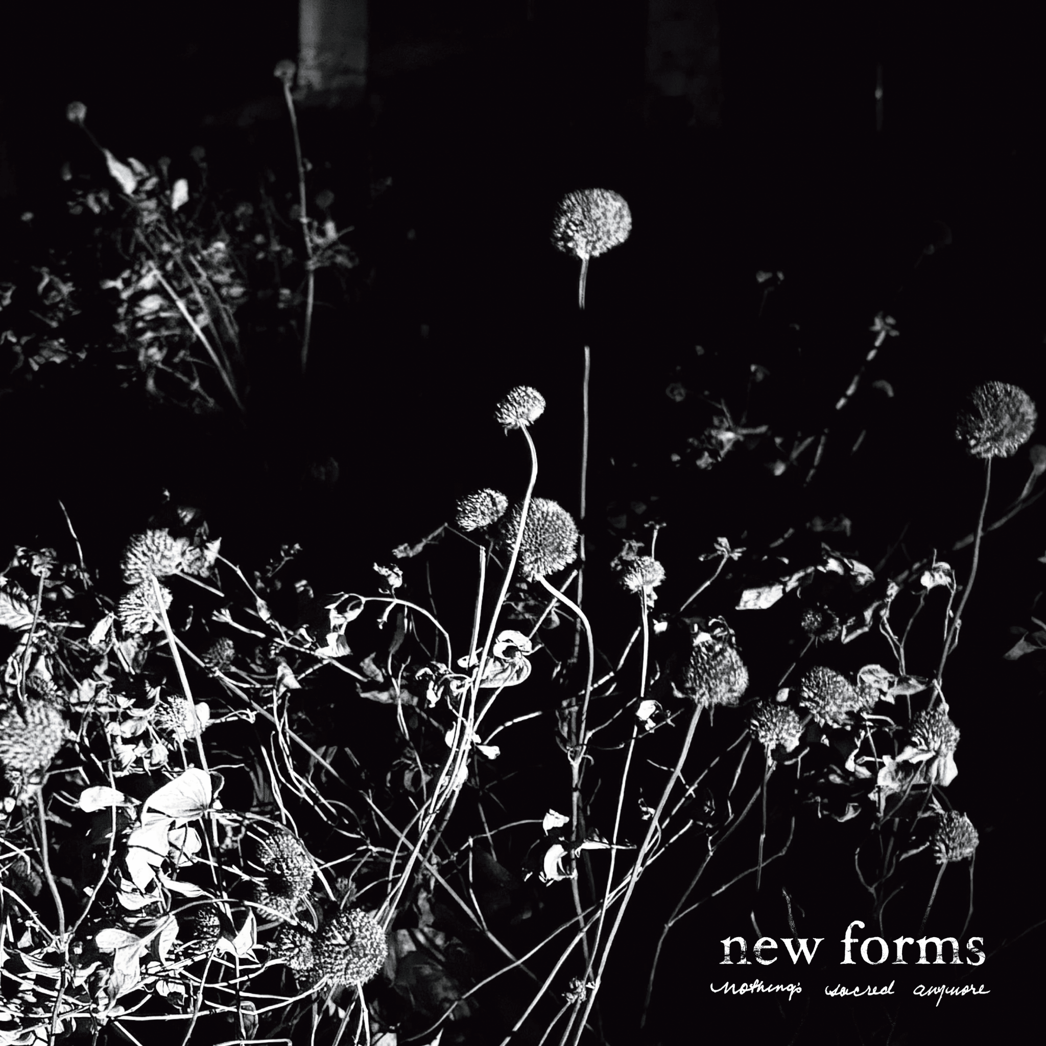 NEW FORMS "Nothing's Sacred Anymore" LP - Evil Greed