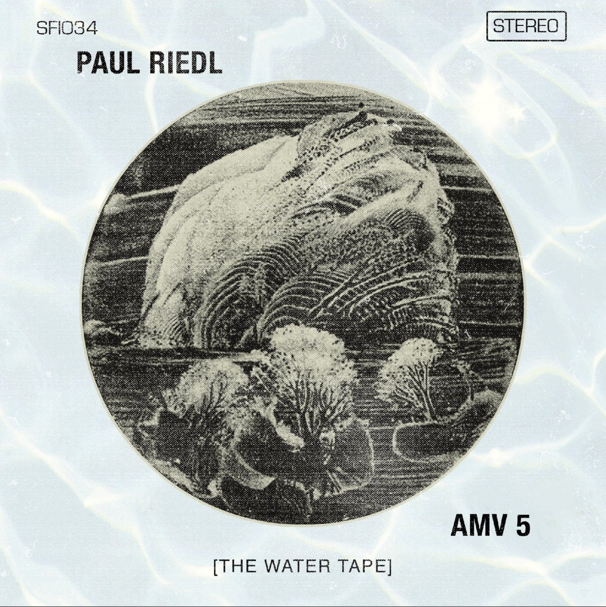 PAUL RIEDL "The Water Tape" 2xLP - Evil Greed