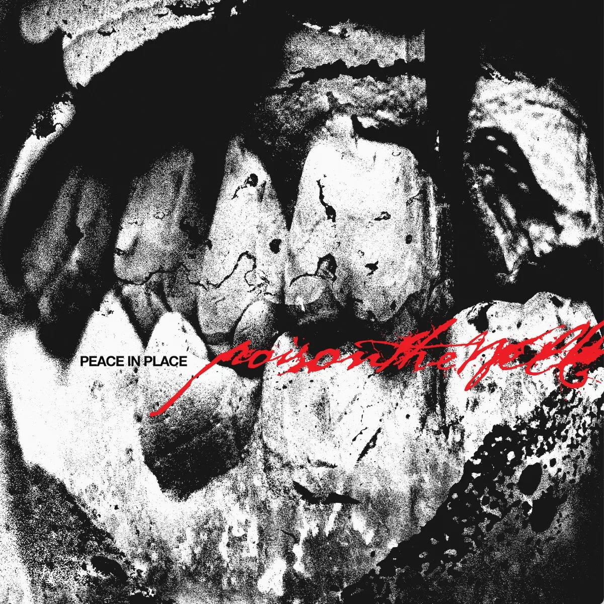 POISON THE WELL "Peace In Place" CD