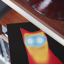 BASEMENT "WIRED" LP