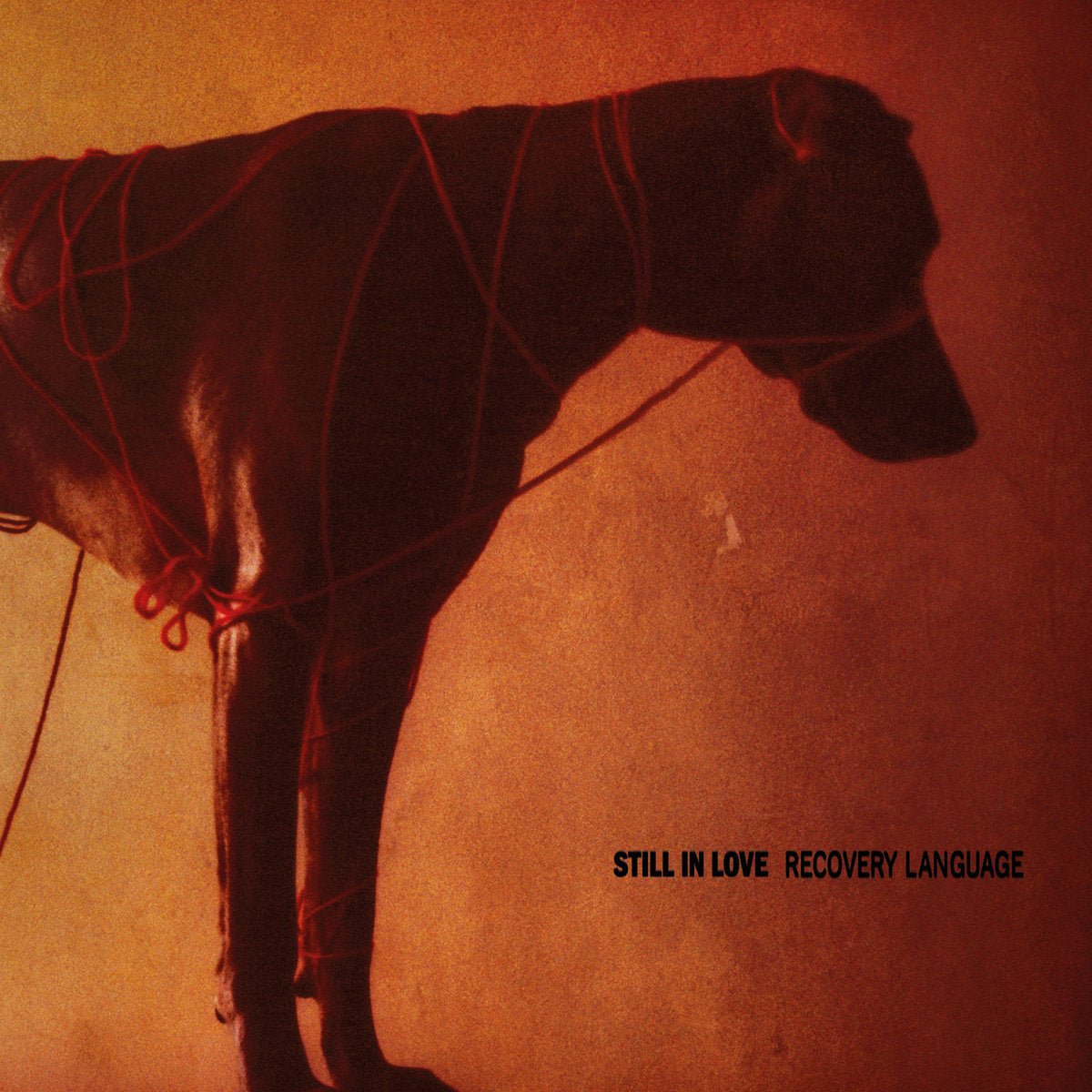 STILL IN LOVE "Recovery Language" LP