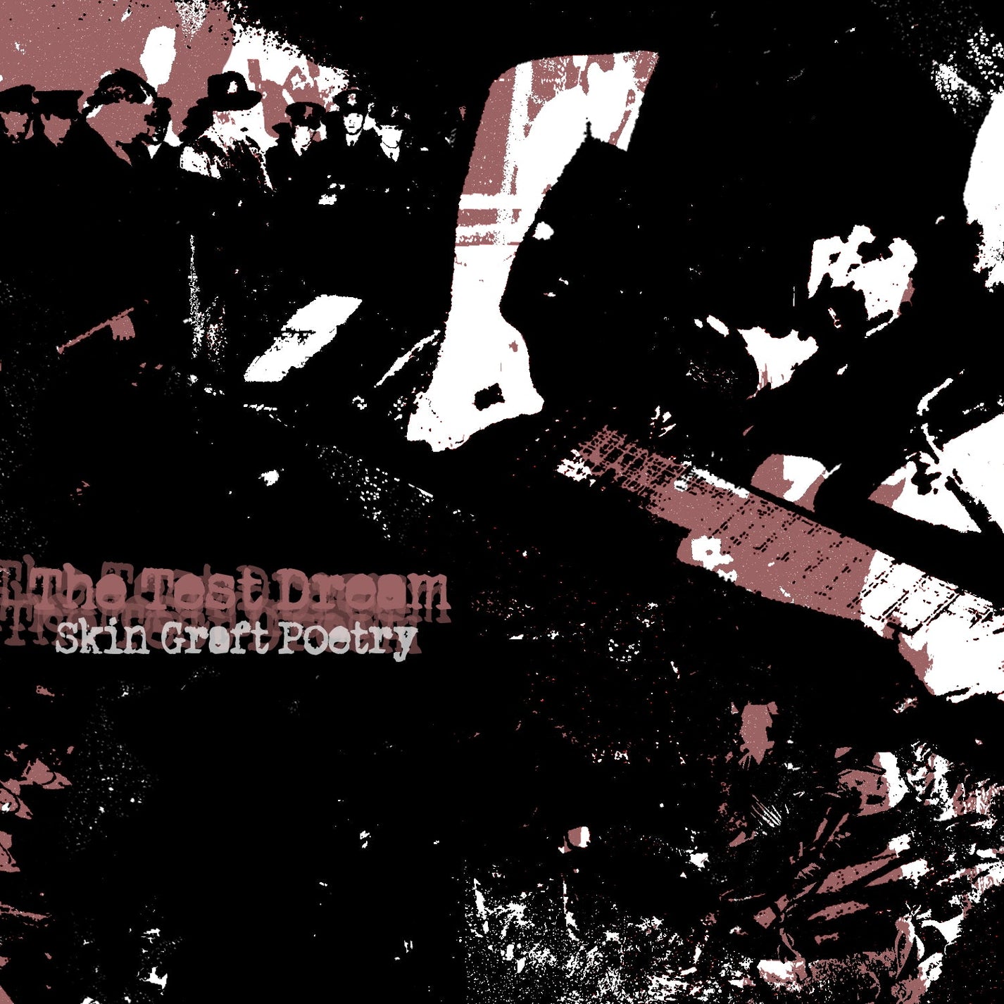 THE TEST DREAM "Skin Graft Poetry" CD - Evil Greed