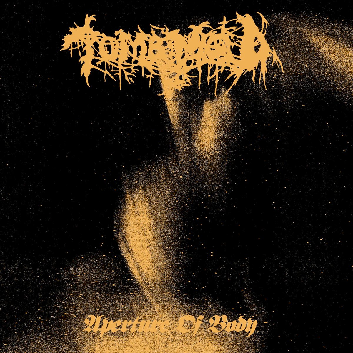 TOMB MOLD "Aperture Of Body" LP