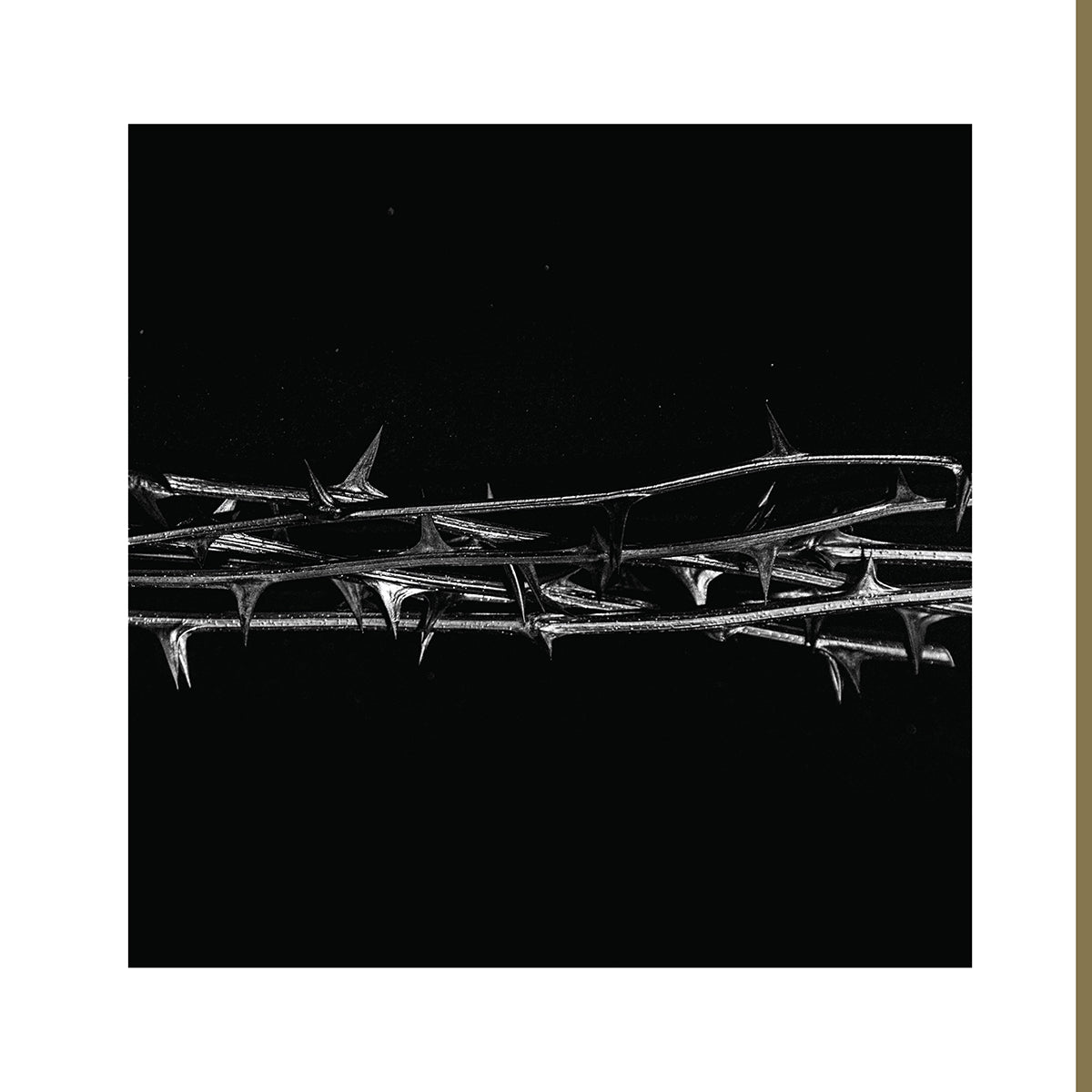 AMENRA &quot;De Doorn&quot; 2xLP