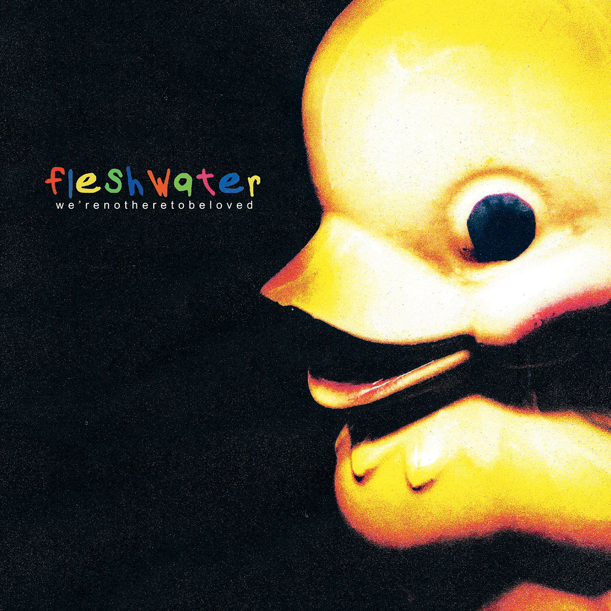 FLESHWATER &quot;We&#39;re Not Here To Be Loved&quot; CD