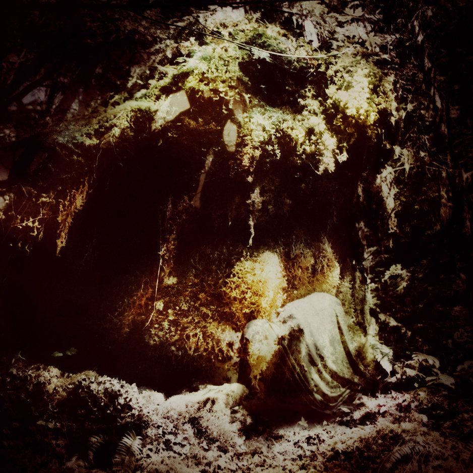 WOLVES IN THE THRONE ROOM "Celestial Lineage" 2xLP