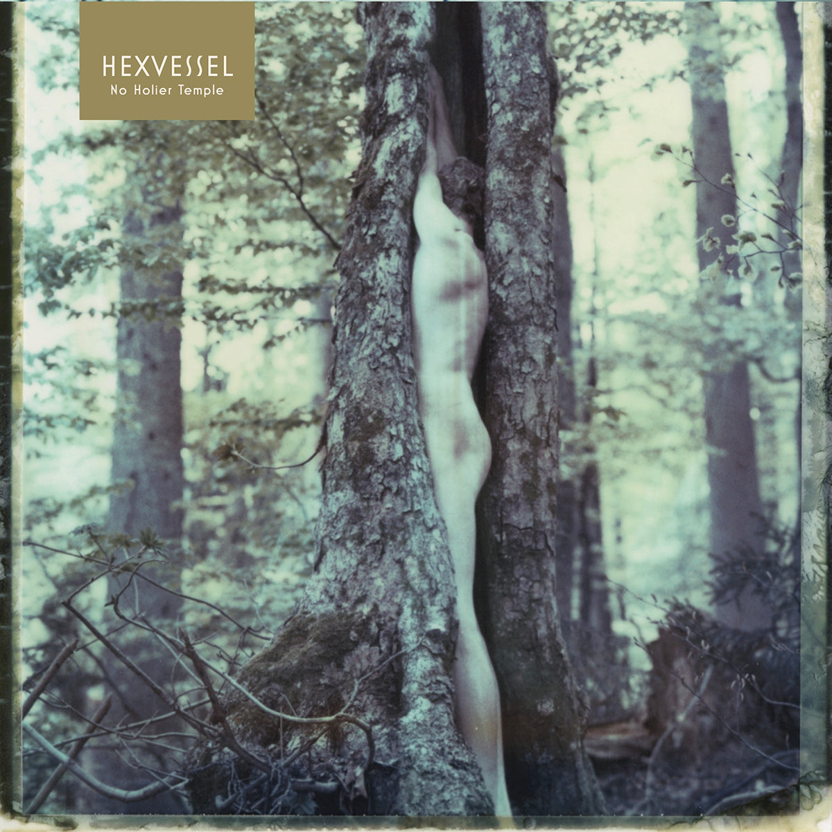 HEXVESSEL &quot;No Holier Temple&quot; CD